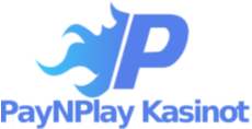paynplay-kasinot.com